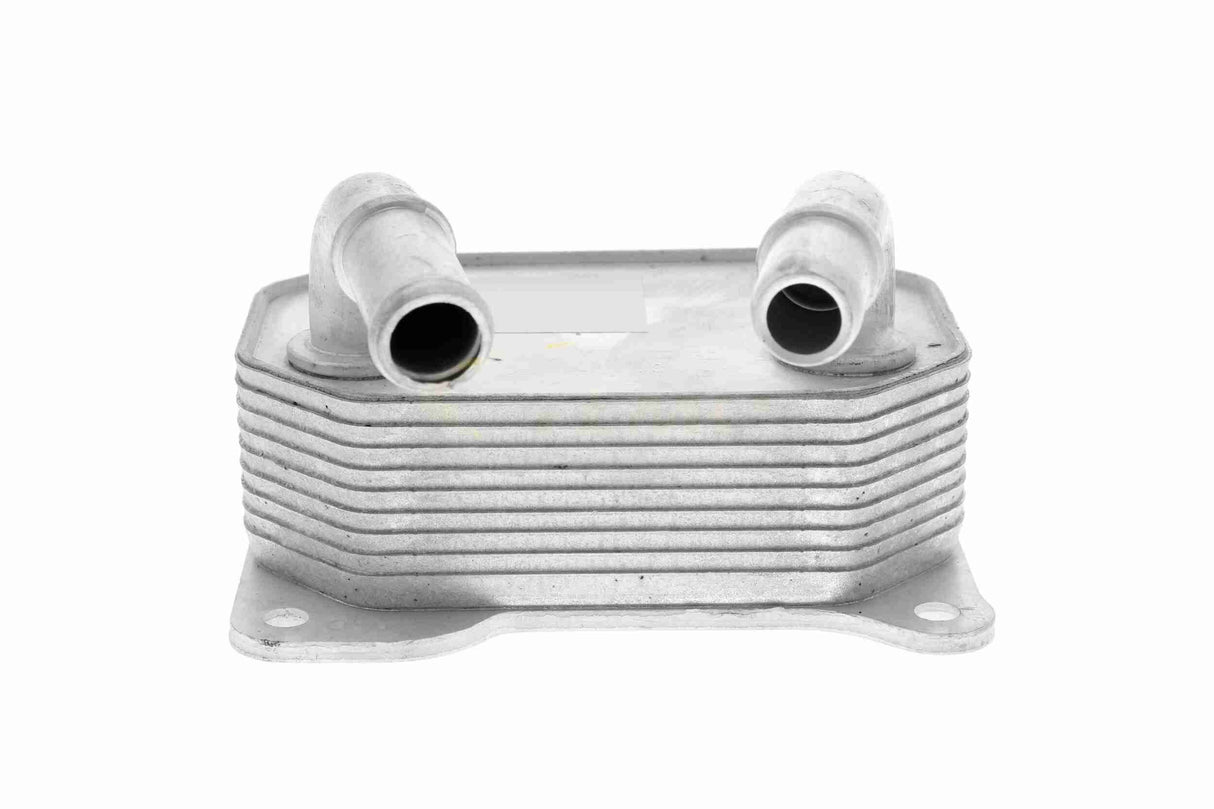 Oil Cooler, engine oil - V25-60-0041