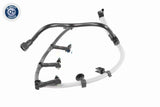 Hose, fuel overflow - V25-1481
