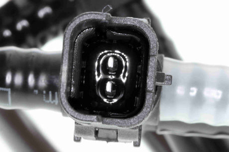 Fuel Line - V42-0785
