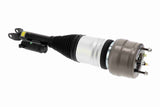 Air Suspension Strut - V30-50-0058