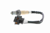 Oxygen Sensor - V40-76-0036