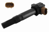 Ignition Coil - V24-70-0042
