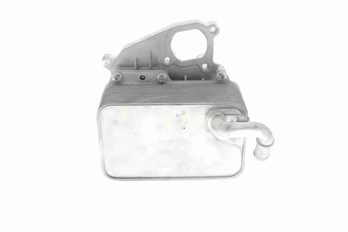 Oil Cooler, engine oil - V15-60-6070