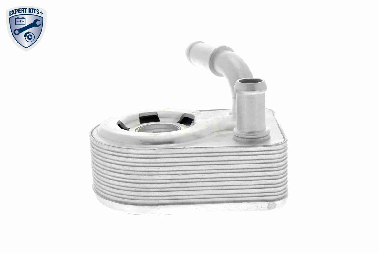 Oil Cooler, engine oil - V25-60-0046