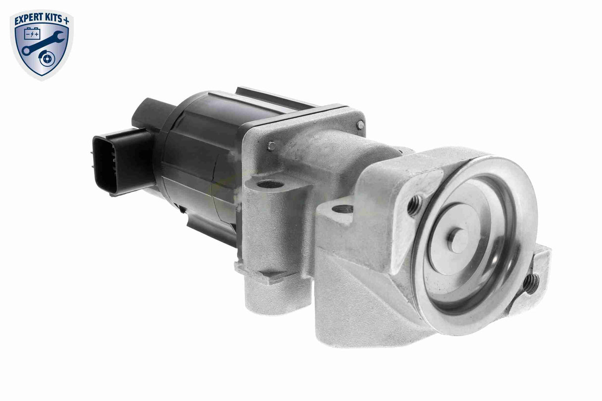 Valve, exhaust gas recirculation - V40-63-0064-1