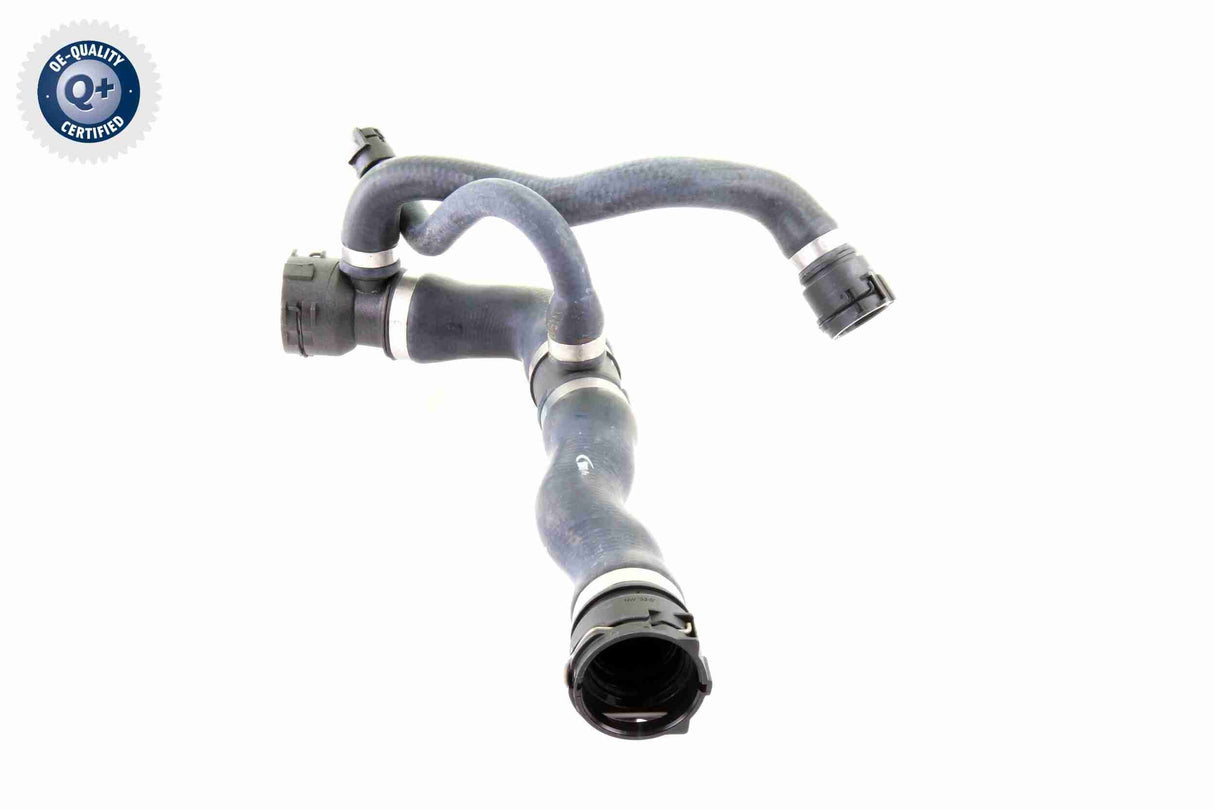 Radiator Hose - V20-1745