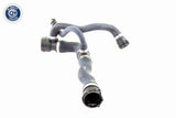 Radiator Hose - V20-1745
