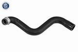 Radiator Hose - V42-0761