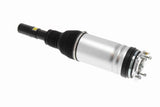 Air Suspension Strut - V48-50-0017