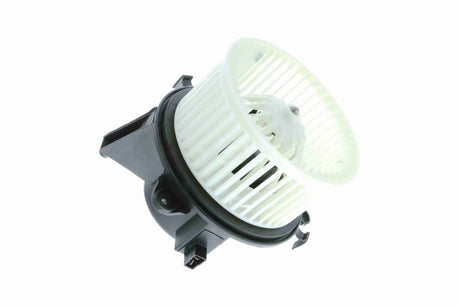 Interior Blower - V24-03-1346