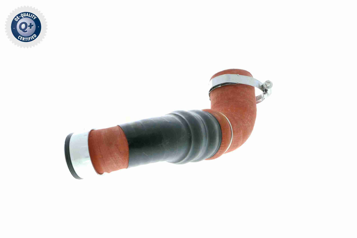 Charge Air Hose - V10-2919