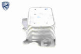 Oil Cooler, engine oil - V30-60-1321