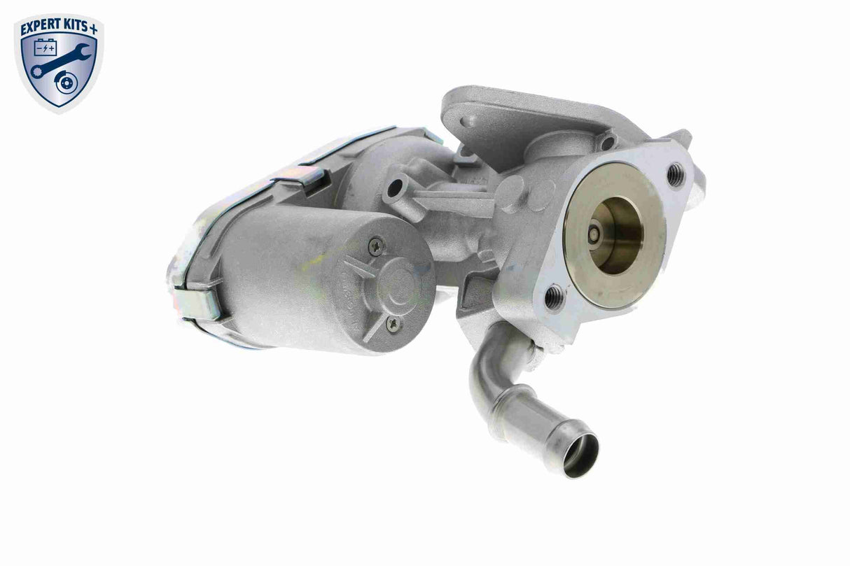 Valve, exhaust gas recirculation - V25-63-0016