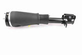 Air Suspension Strut - V48-50-0001