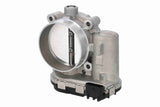 Throttle Body - V33-81-0013