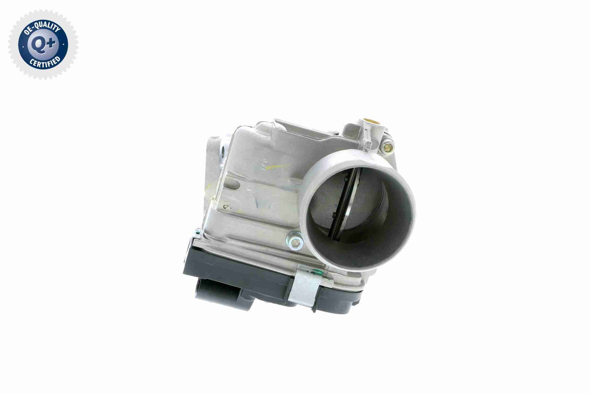 Throttle Body - V24-81-0010