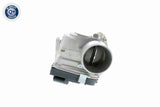 Throttle Body - V24-81-0010