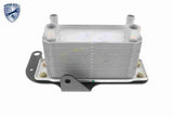 Oil Cooler, engine oil - V25-60-0045