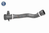 Radiator Hose - V20-3042