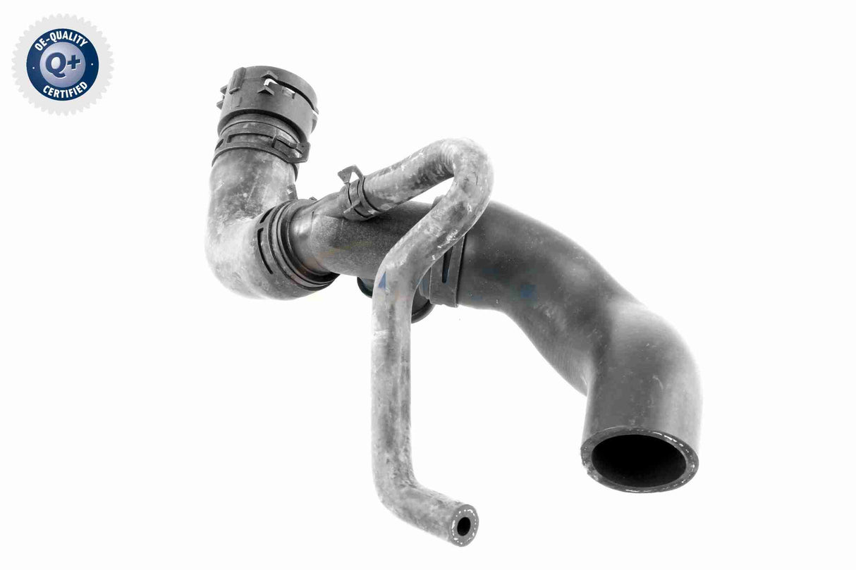 Radiator Hose - V10-3915