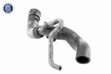 Radiator Hose - V10-3915