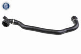 Radiator Hose - V20-3623