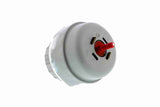 Mounting, engine - V10-1678