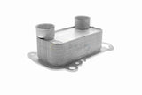 Oil Cooler, engine oil - V20-60-0061