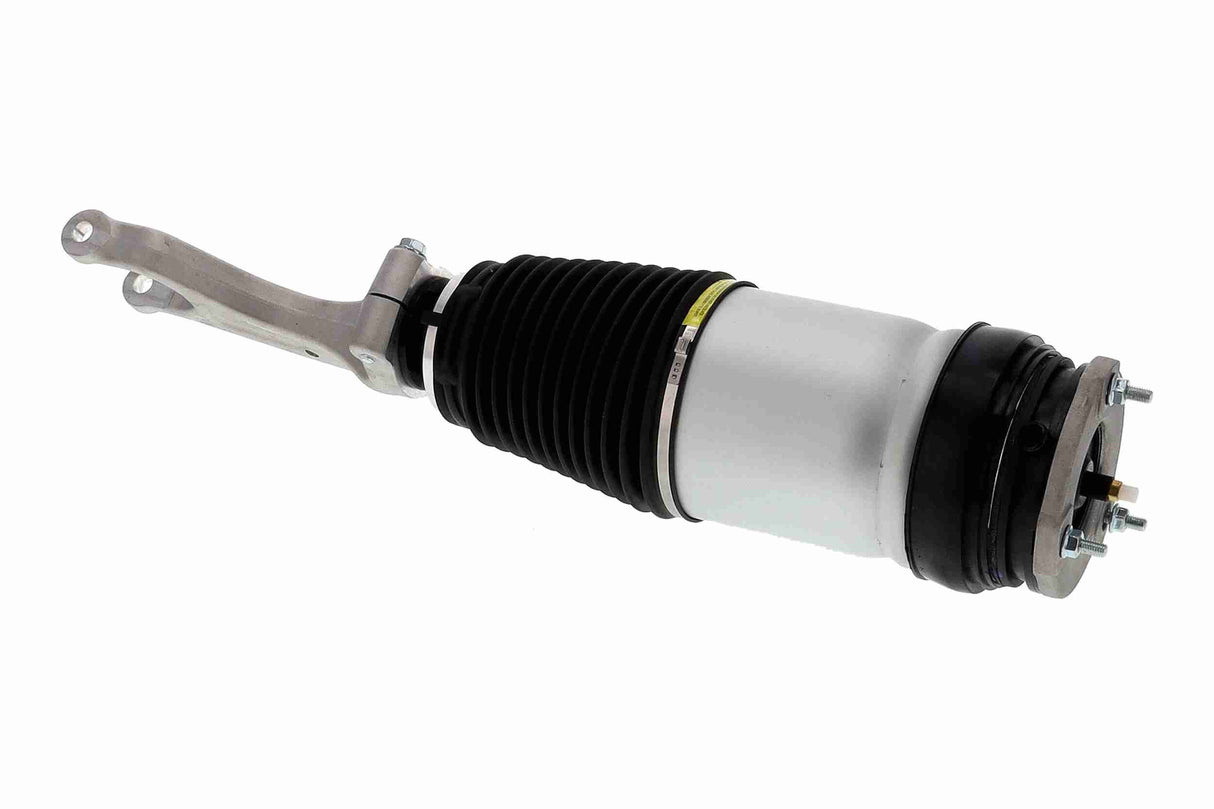 Air Suspension Strut - V58-50-0007