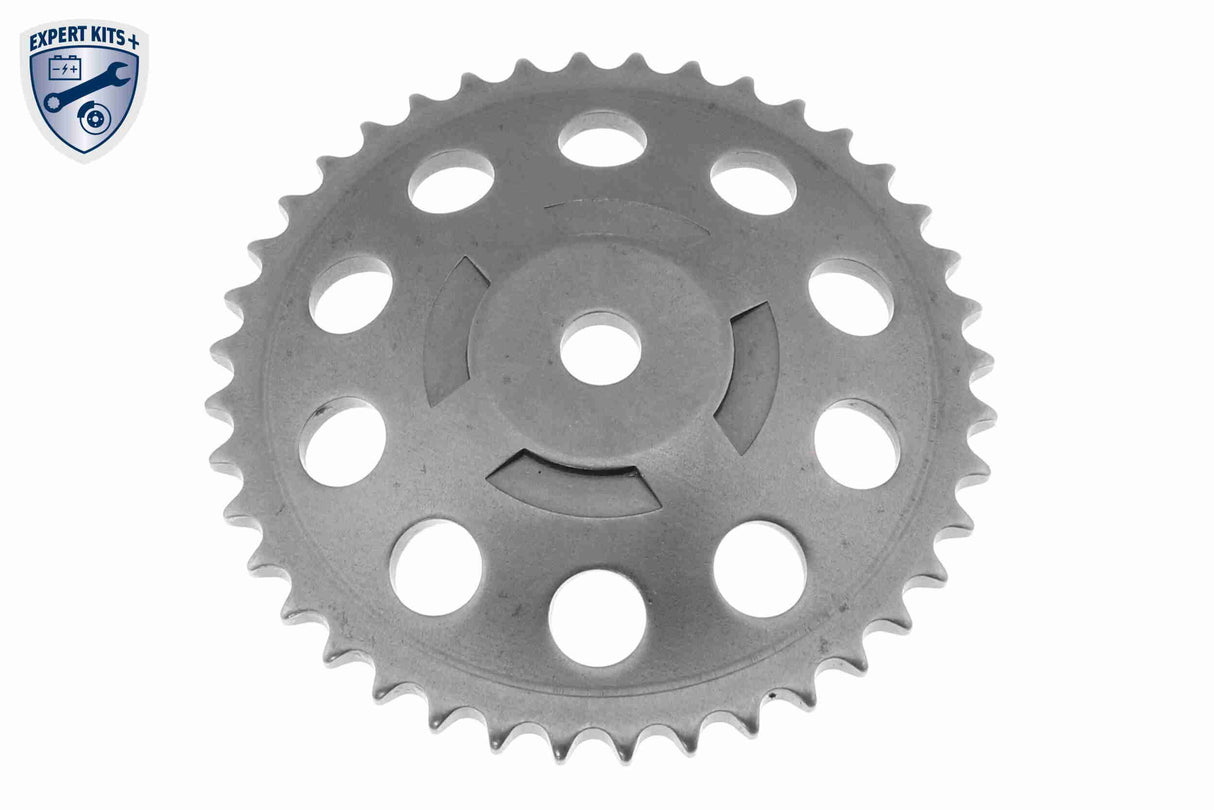 Timing Chain Kit - V40-10003