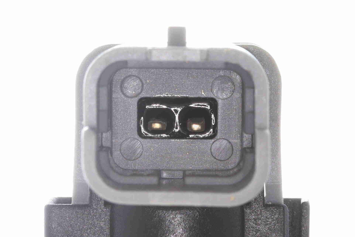 Hose, fuel overflow - V46-1211
