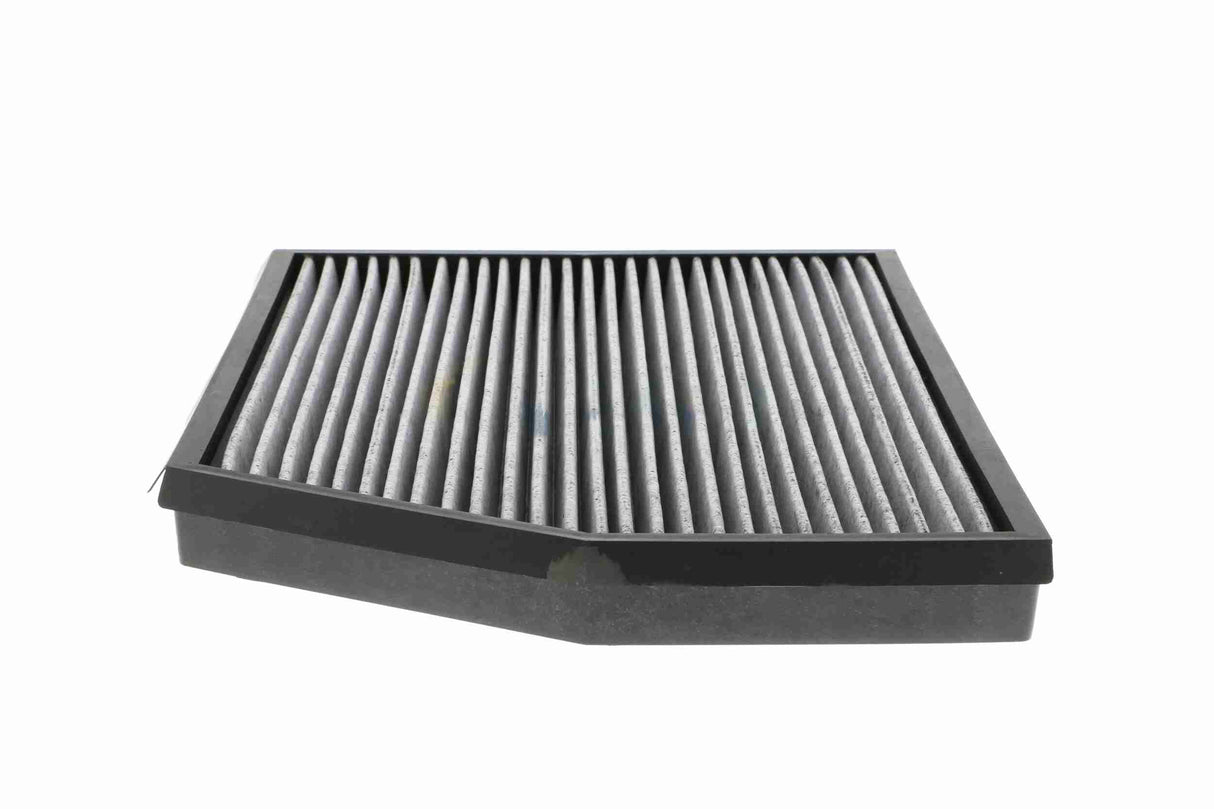 Filter, cabin air - V24-31-1005