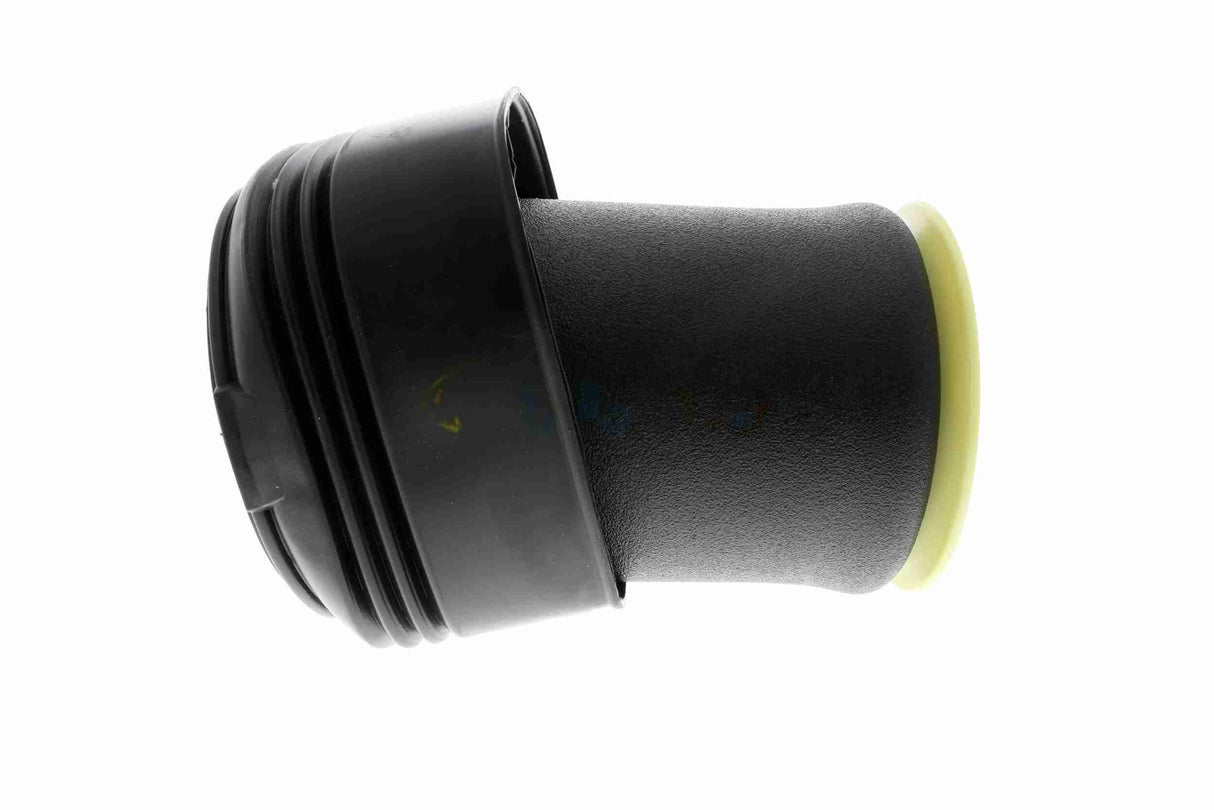 Air Suspension Strut - V20-50-0005-1