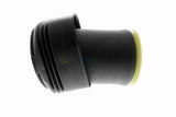 Air Suspension Strut - V20-50-0005-1
