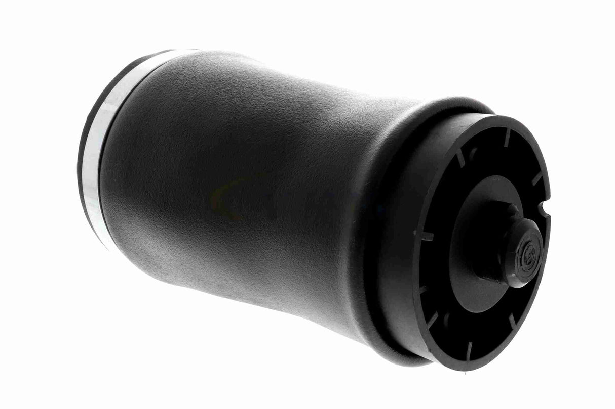 Air Suspension Strut - V20-50-0001-1