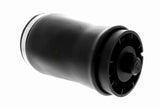 Air Suspension Strut - V20-50-0001-1