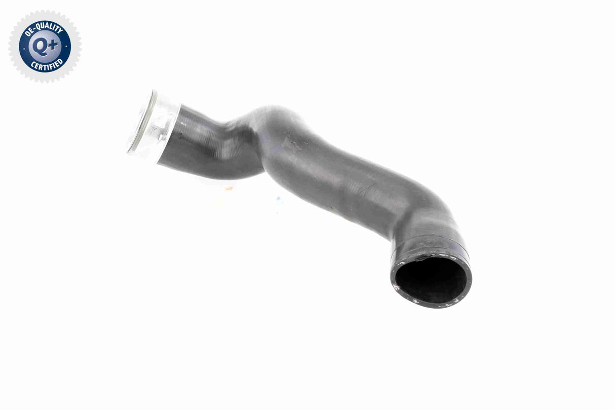 Charge Air Hose - V10-3786
