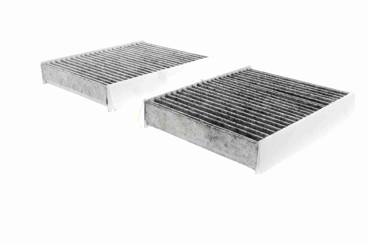 Filter, cabin air - V20-31-5003