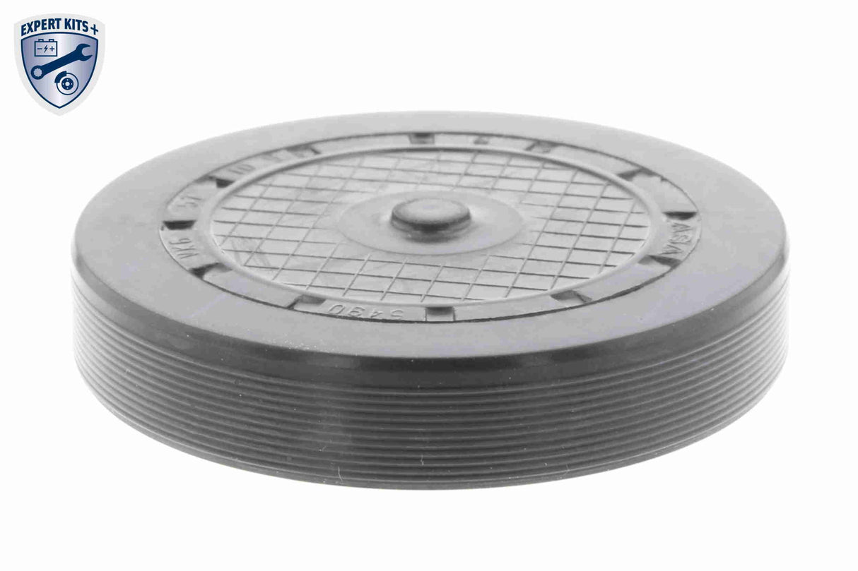 Water Pump & Timing Belt Kit - V46-50024-BEK
