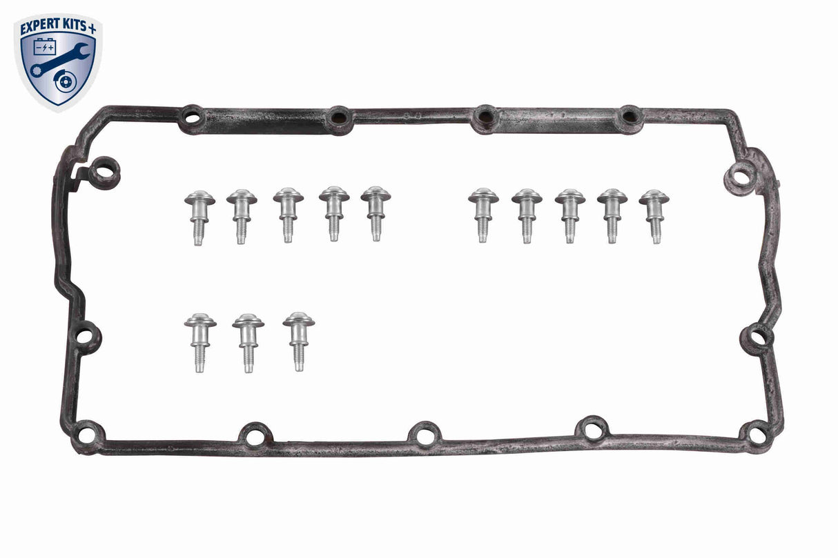 Cylinder Head Cover - V10-5993