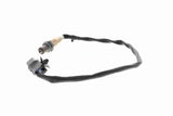 Oxygen Sensor - V52-76-0016