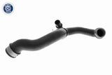 Radiator Hose - V30-3461
