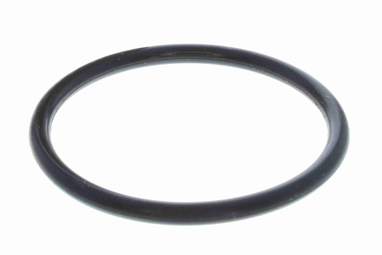 Thermostat, coolant - V15-99-2087