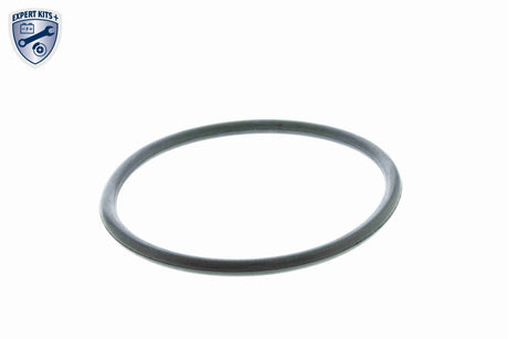 Thermostat, coolant - V20-99-1253