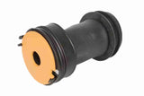Air Suspension Strut - V51-50-0001