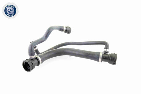 Radiator Hose - V20-0877