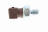 Oil Pressure Switch - V20-73-0123