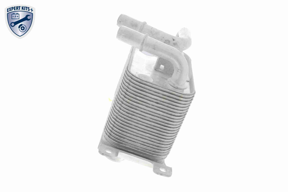 Oil Cooler, automatic transmission - V20-60-0032