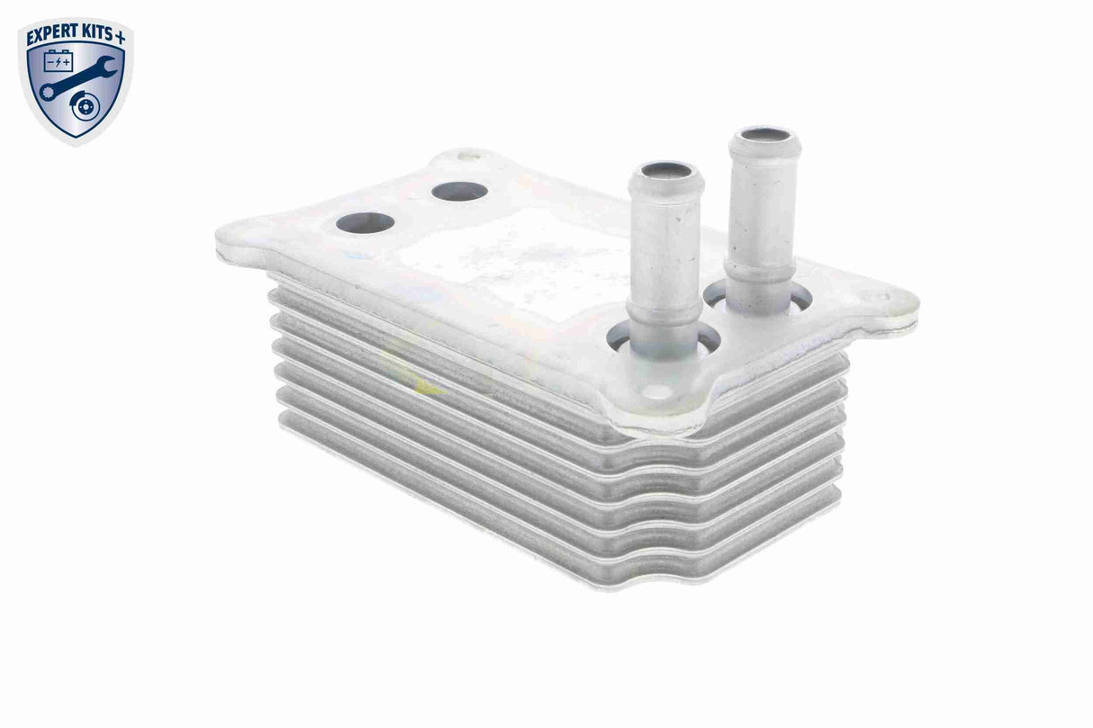Oil Cooler, engine oil - V25-60-0031