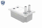 Oil Cooler, engine oil - V25-60-0031